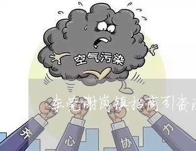 东莞谢岗镇招商引资法律条文