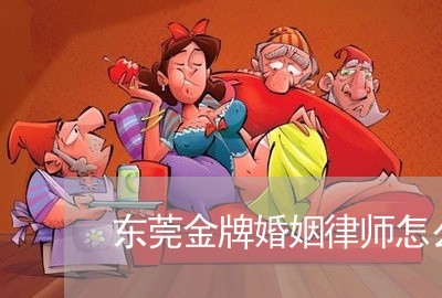 东莞金牌婚姻律师怎么样/2023042438059