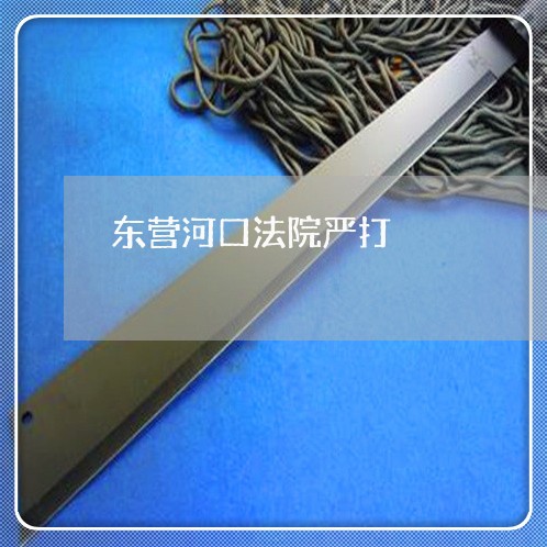 东营河口法院严打
