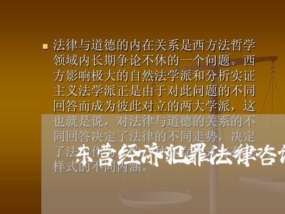 东营经济犯罪法律咨询热线