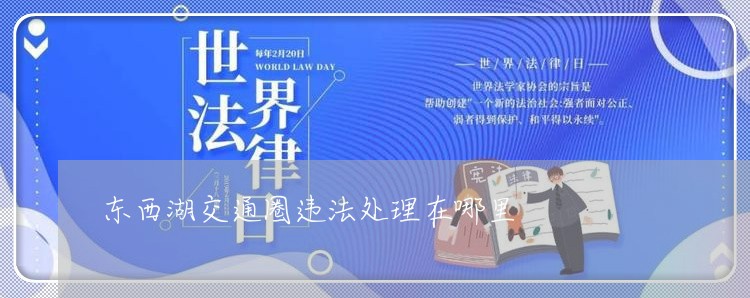 东西湖交通圈违法处理在哪里