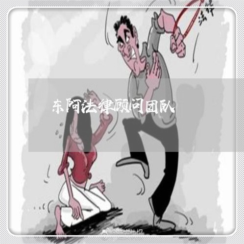 东阿法律顾问团队 东阿法律顾问团队