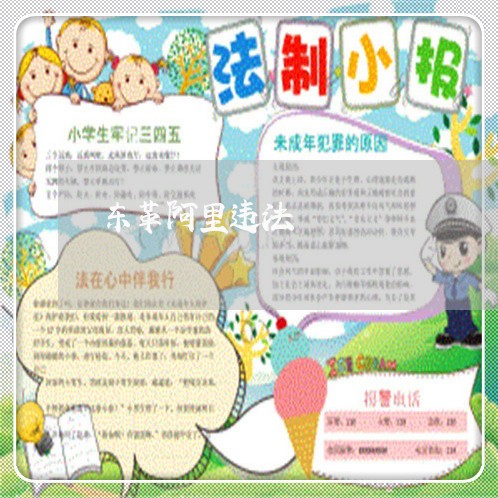东革阿里违法 东革阿里违法