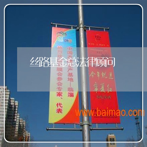 丝路基金总法律顾问 丝路基金总法律顾问