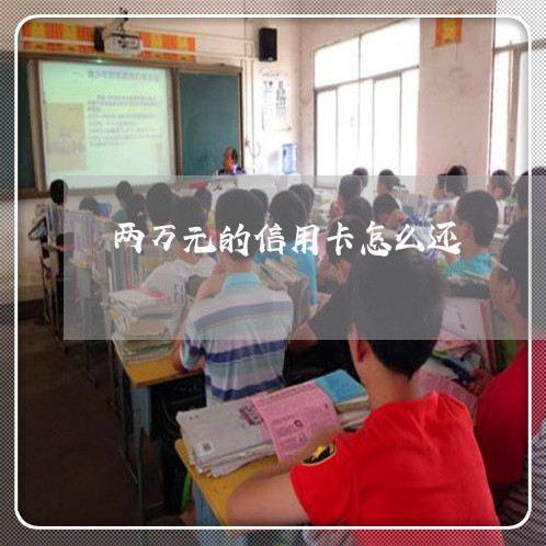 两万元的信用卡怎么还/2023100550626