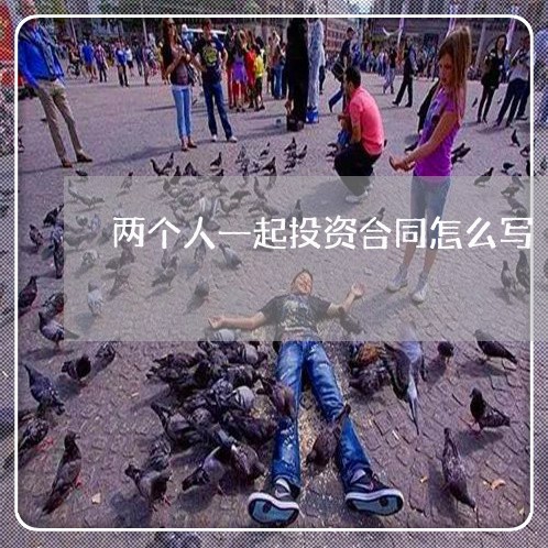 两个人一起投资合同怎么写/2023061638279 两个人一起投资合同怎么写/2023061638279