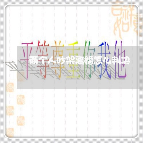 两个人吵架离婚怎么判决