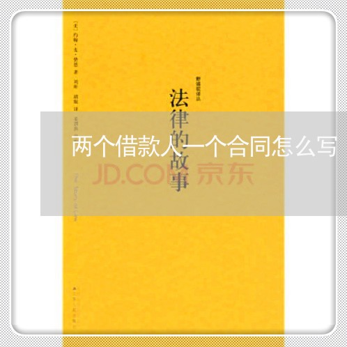 两个借款人一个合同怎么写/2023061681714