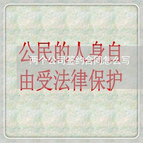 两个公司签约合同怎么写/2023042371582 两个公司签约合同怎么写/2023042371582