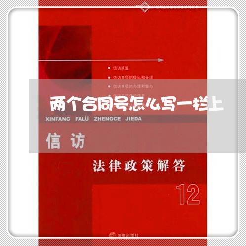 两个合同号怎么写一栏上/2023061891816