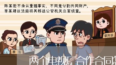 两个电视厂合作合同怎么写/2023060226158