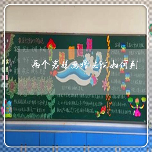 两个男孩离婚法院如何判