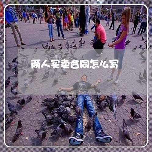 两人买卖合同怎么写/2023041363605 两人买卖合同怎么写/2023041363605