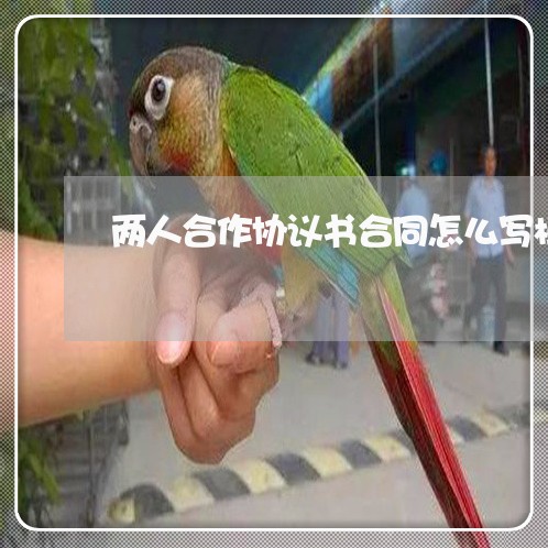 两人合作协议书合同怎么写模板/2023061694926