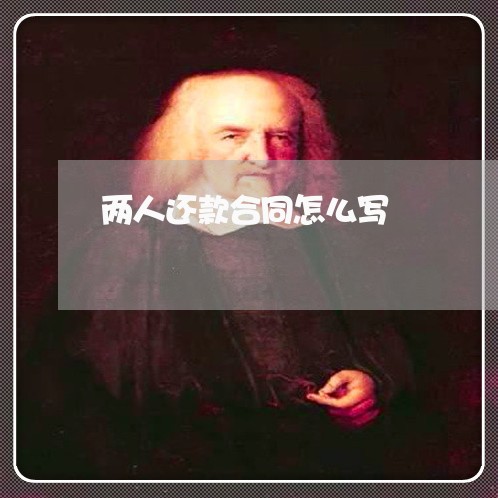 两人还款合同怎么写/2023041194126