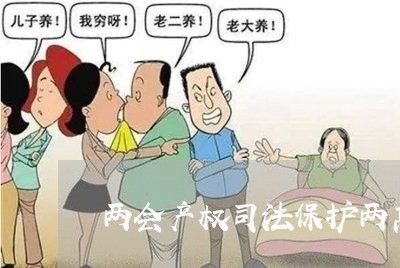 两会产权司法保护两高