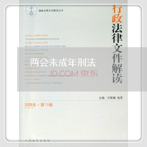 两会未成年刑法 两会未成年刑法