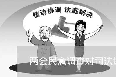 两会民意调查对司法评价低