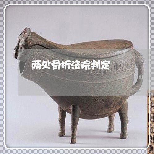 两处骨折法院判定