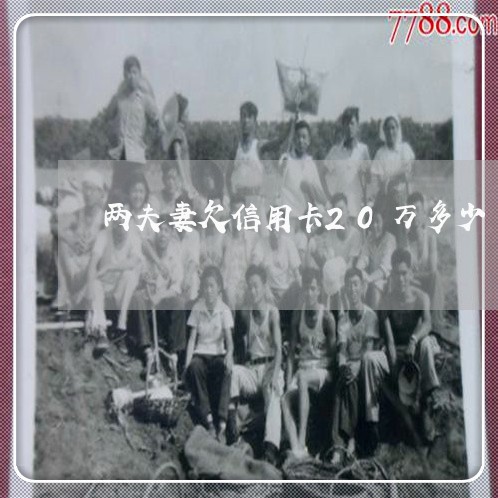 两夫妻欠信用卡20万多少 两夫妻欠信用卡20万多少