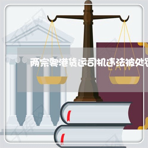 两宗粤港货运司机违法被处罚