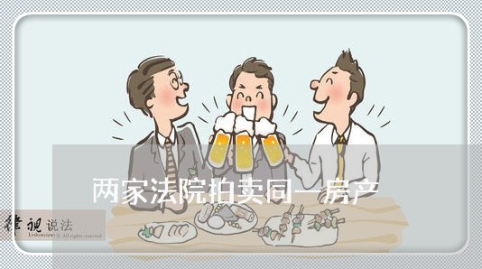 两家法院拍卖同一房产 两家法院拍卖同一房产