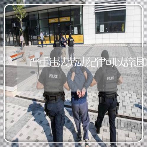 严重违法劳动纪律可以辞退吗