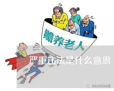 严重违法是什么意思