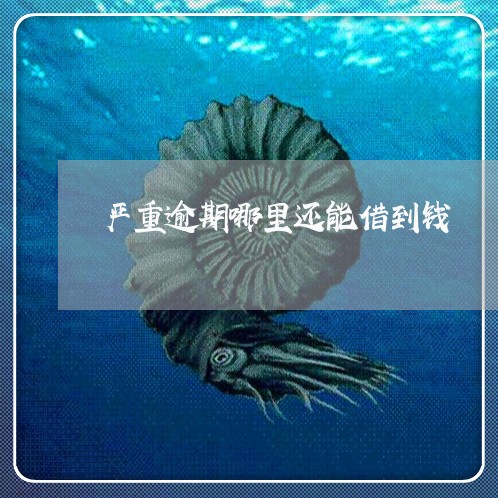 严重逾期哪里还能借到钱/2023030137371