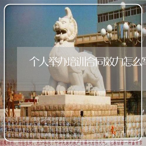 个人举办培训合同效力怎么写/2023022645147 个人举办培训合同效力怎么写/2023022645147