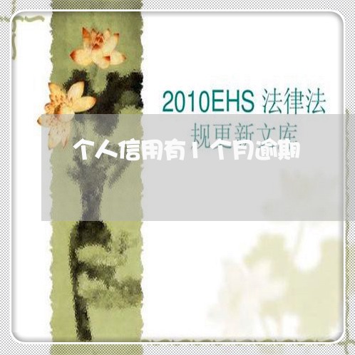 个人信用有1个月逾期