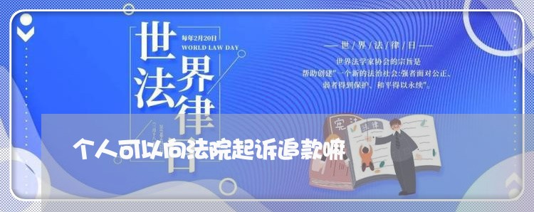 个人可以向法院起诉追款嘛 个人可以向法院起诉追款嘛