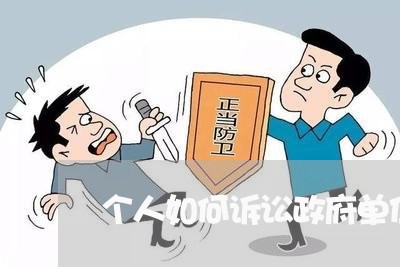 个人如何诉讼政府单位