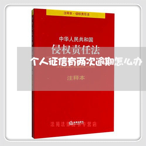 个人征信有两次逾期怎么办 个人征信有两次逾期怎么办