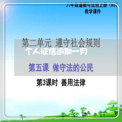 个人征信逾期一月 个人征信逾期一月