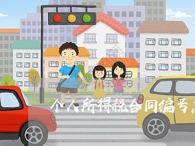 个人所得税合同编号怎么写/2023060765947