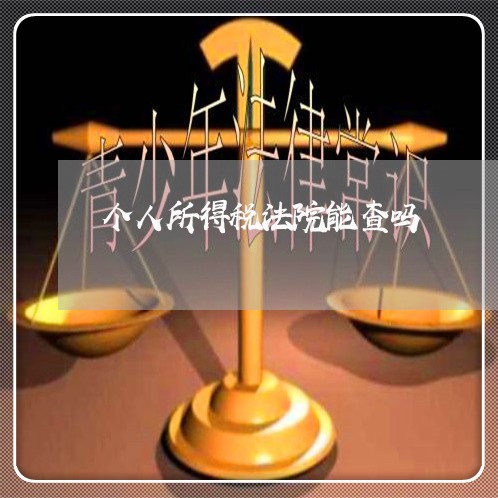 个人所得税法院能查吗 个人所得税法院能查吗