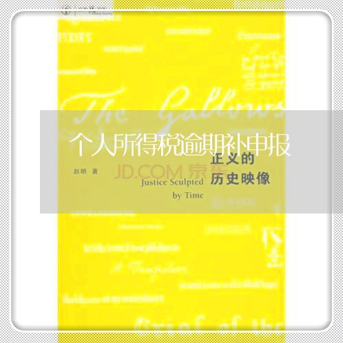 个人所得税逾期补申报 个人所得税逾期补申报