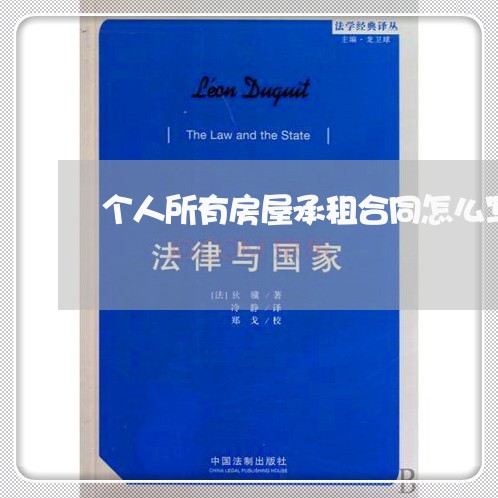 个人所有房屋承租合同怎么写/2023041660513