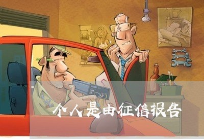个人是由征信报告 个人是由征信报告