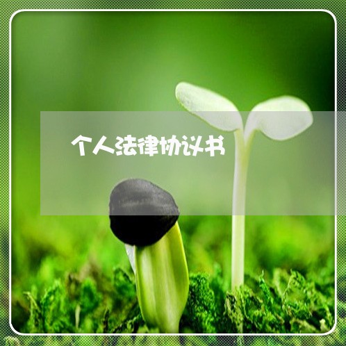 个人法律协议书