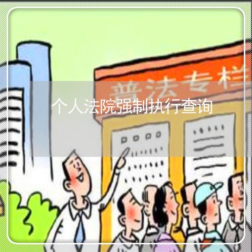个人法院强制执行查询 个人法院强制执行查询