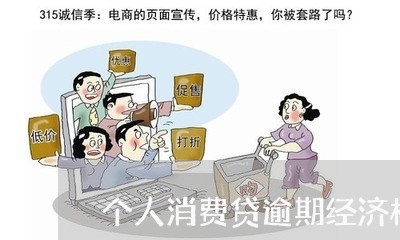 个人消费贷逾期经济核查