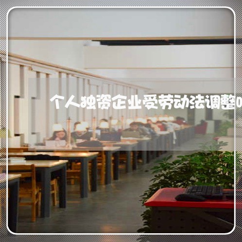 个人独资企业受劳动法调整吗
