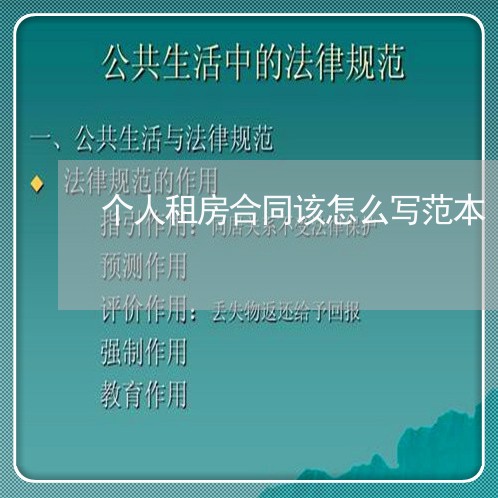 个人租房合同该怎么写范本/2023022658471