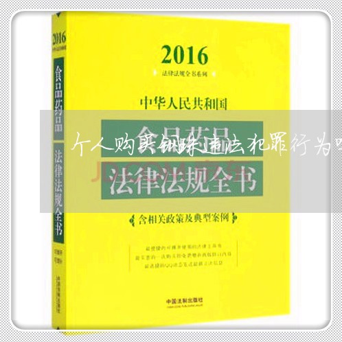 个人购买钢珠违法犯罪行为吗