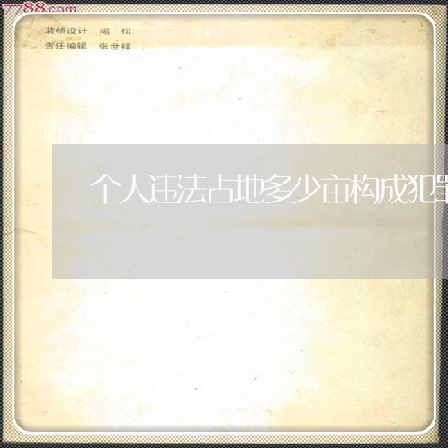 个人违法占地多少亩构成犯罪 个人违法占地多少亩构成犯罪