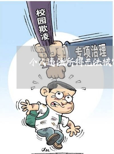 个人违法所得无法核实