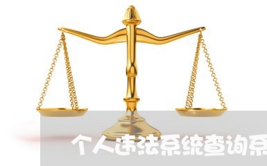 个人违法系统查询系统