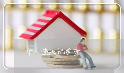 个人违法记录查